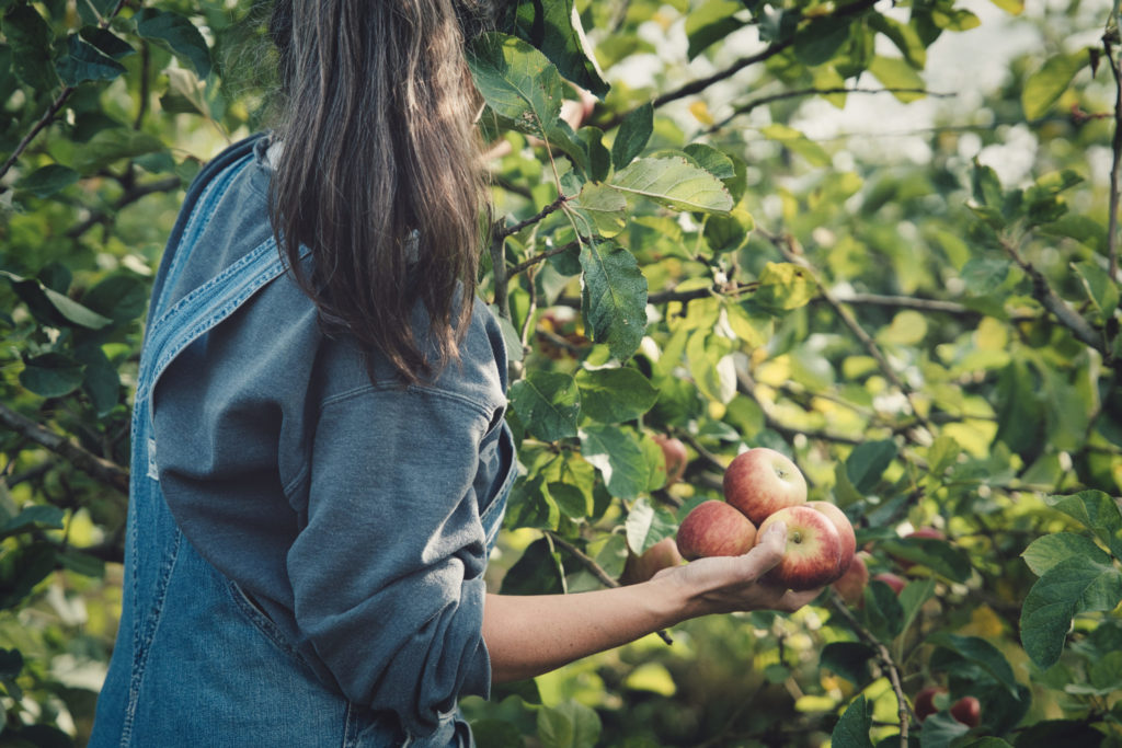 Coteaux-Nantais-cueillette-2022-DSC07921-scaled