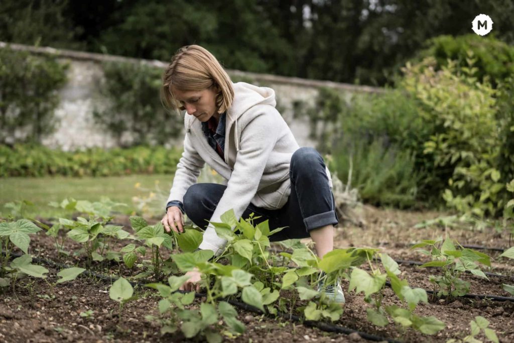 miimosa (Quadia invest in)