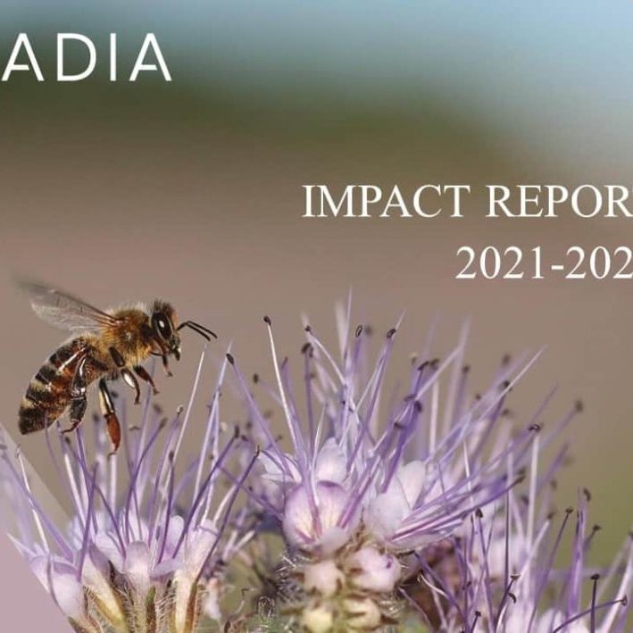 Image-Impact-Report-2021-2022